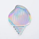 צלחת נייר קונכיה הולוגרמה