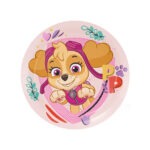 צלחות גדולות יום הולדת מפרץ ההרפתקאות - סקיי