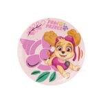 צלחות קטנות יומולדת מפרץ ההרפתקאות סקיי