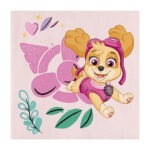 מפיות נייר יום הולדת מפרץ ההרפתקאות - סקיי